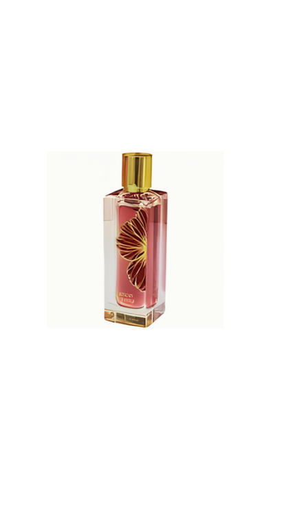 Ibisco Nirvana by Paris Corner