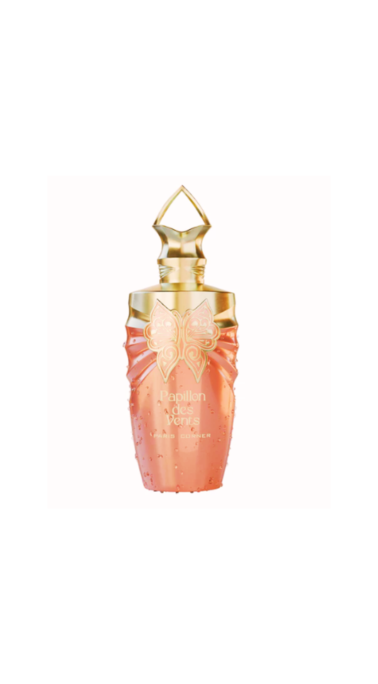 Papillons Des Vents Paris Corner